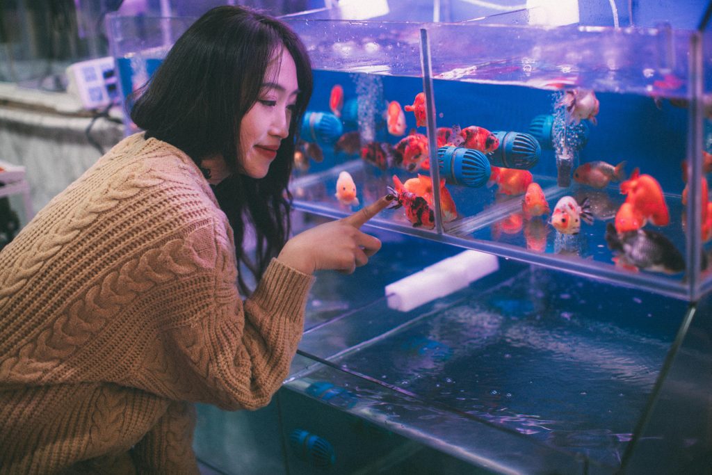 Asian woman engageant avec des poissons vibrants dans un aquarium de magasin pour animaux. Moment calme et curieux en intérieur.