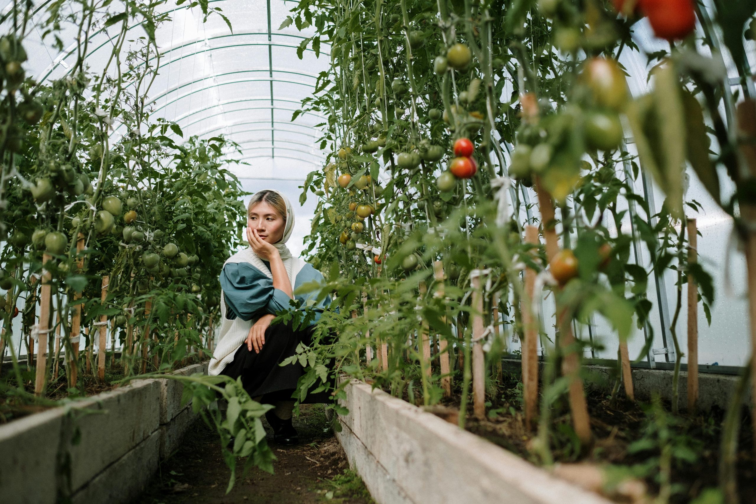 Potager balcon urbain avec légumes et aromatiques