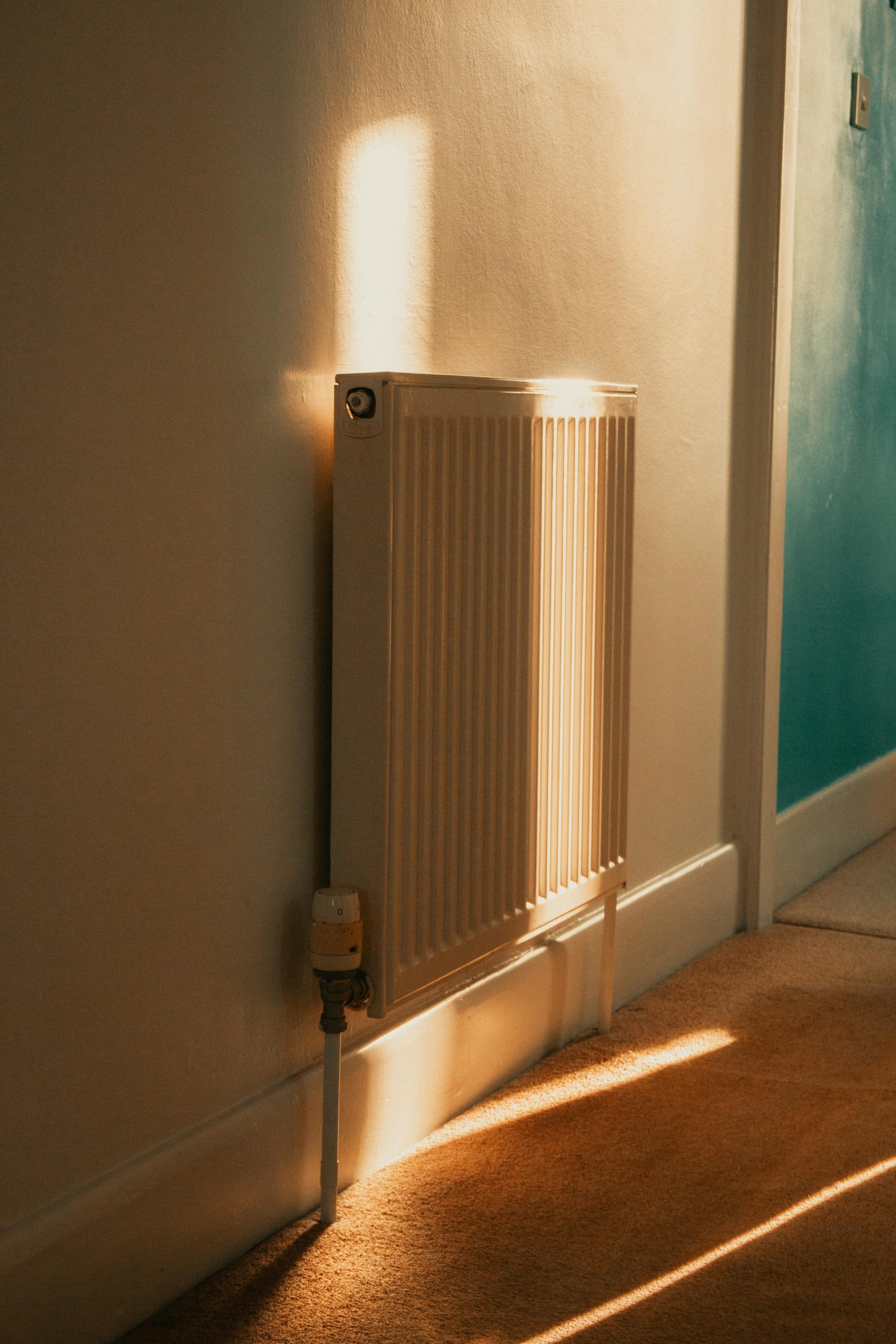 Température idéale pour le chauffage en hiver économique