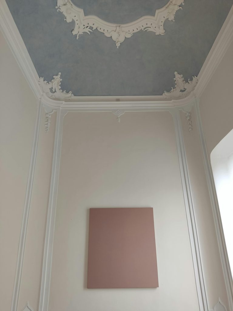 A minimalist room features ornate ceiling decor and a blank canvas on the wall. Une pièce minimaliste avec une décoration de plafond ornée et une toile vierge sur le mur.