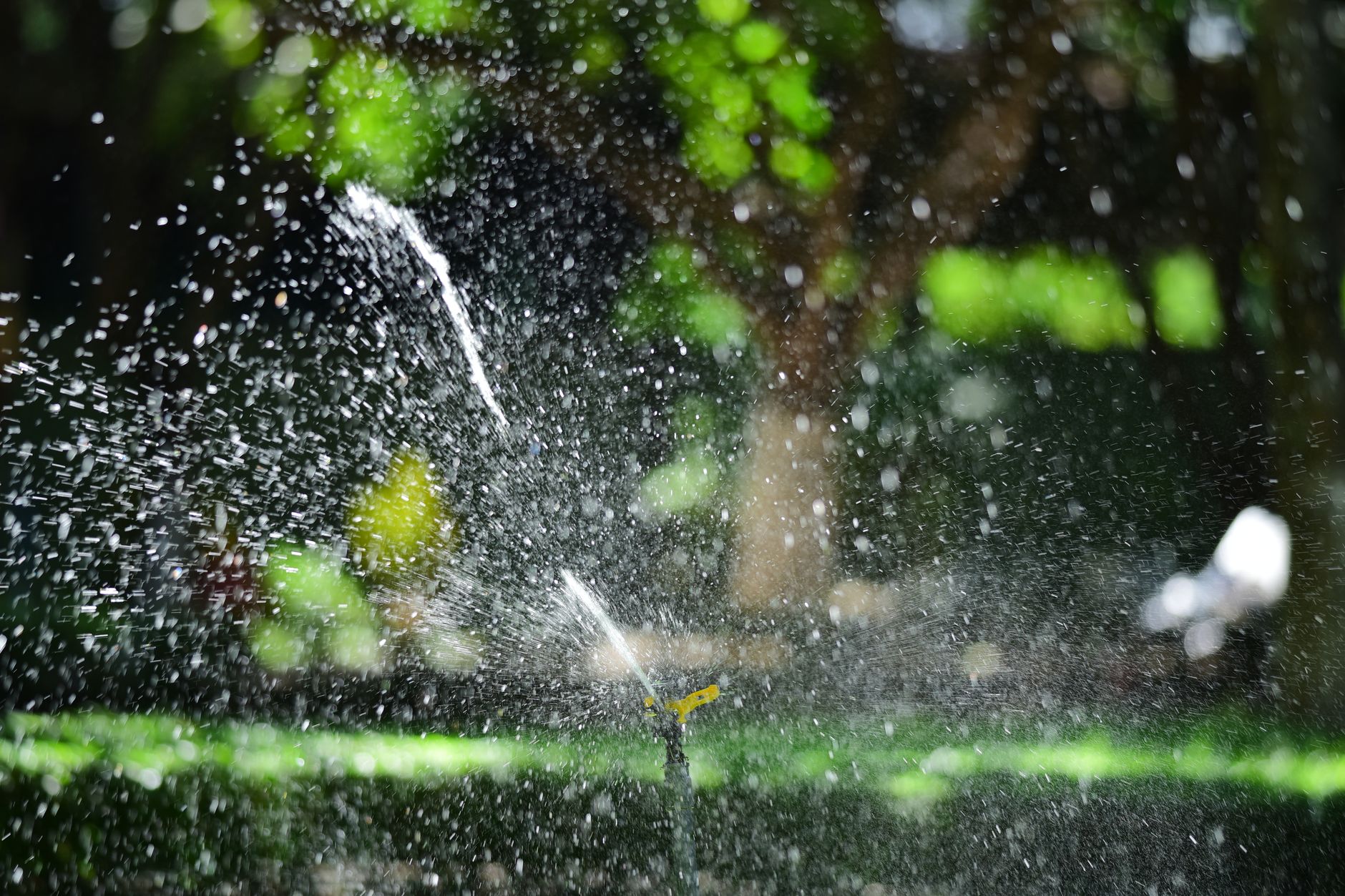 Arroseur de jardin arrosant une pelouse dense