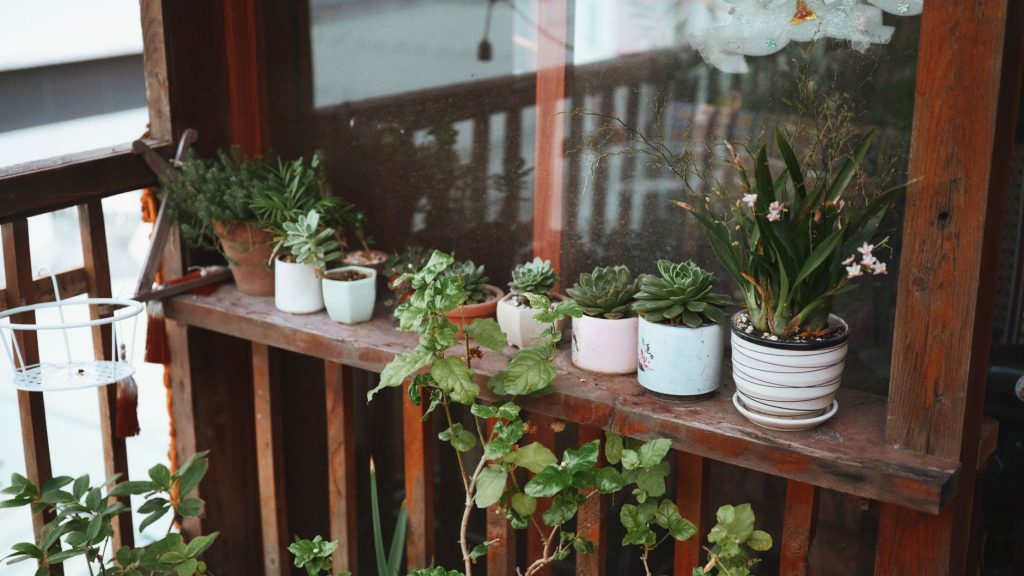 Bien drainer tes pots : voici quoi mettre au fond