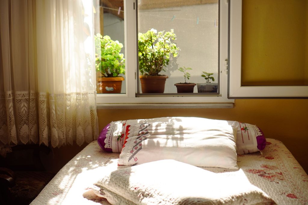 Chambre lumineuse avec plantes vertes sur le rebord de fenêtre